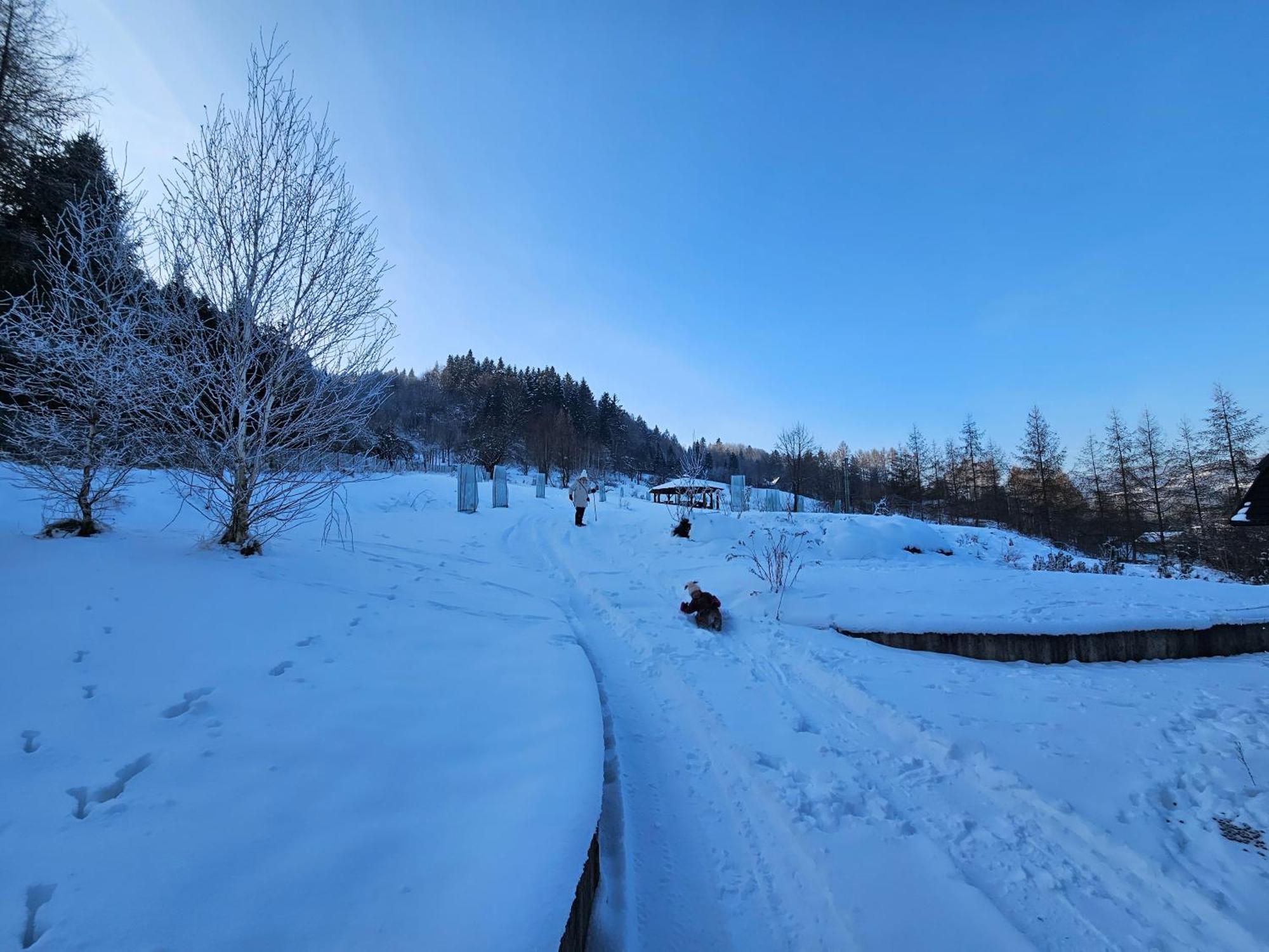 Otulina Park Bed & Breakfast Szczawnica Eksteriør bilde