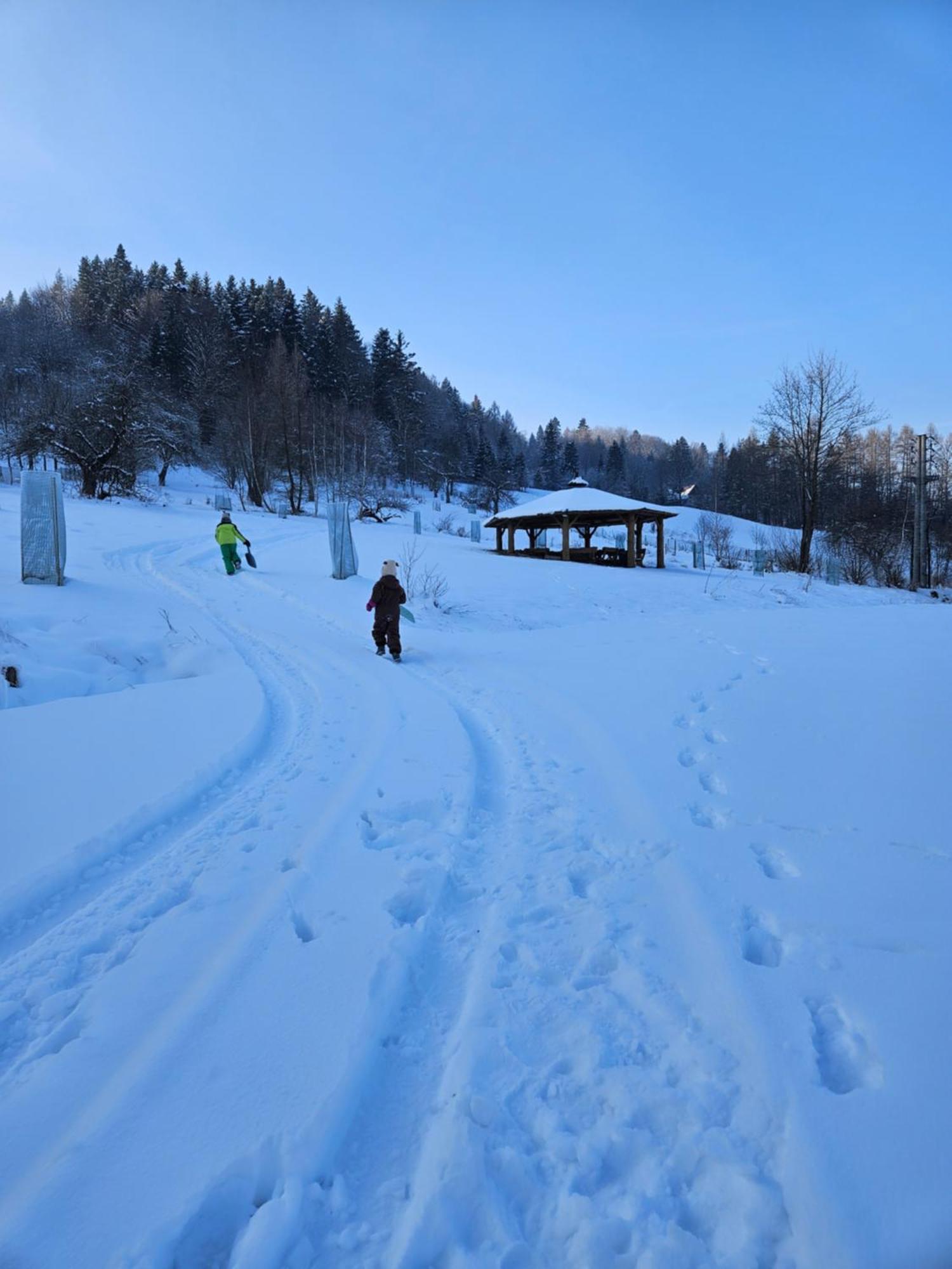Otulina Park Bed & Breakfast Szczawnica Eksteriør bilde