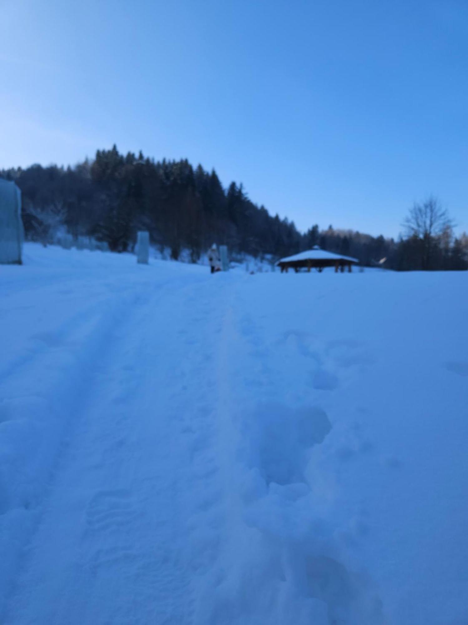Otulina Park Bed & Breakfast Szczawnica Eksteriør bilde