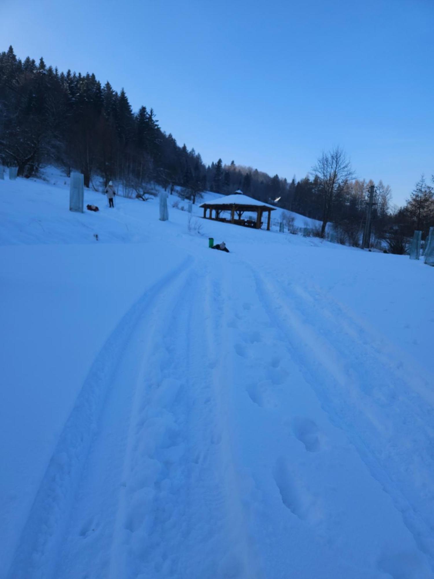 Otulina Park Bed & Breakfast Szczawnica Eksteriør bilde